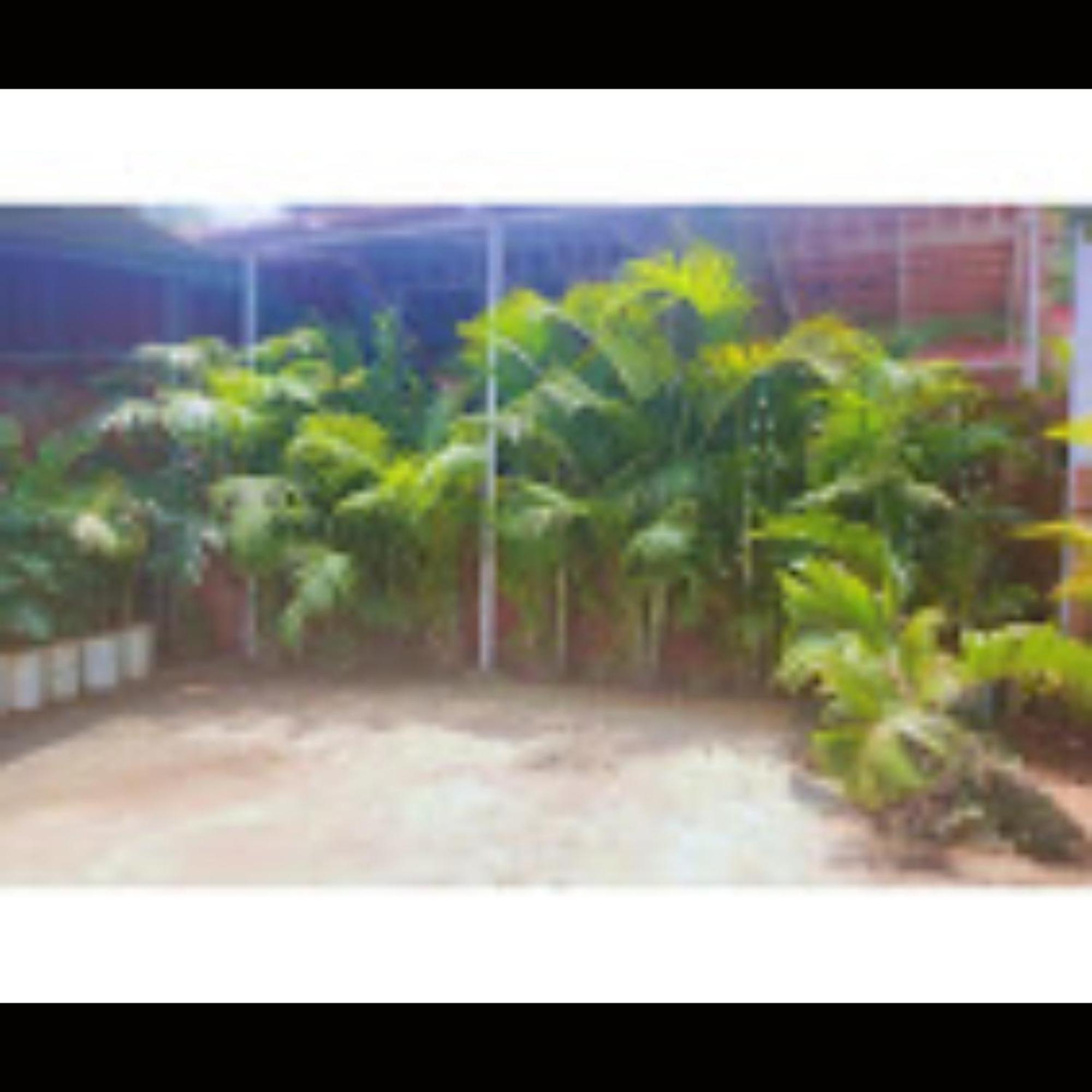 Hotel Strawberry County Panchgani Exterior foto