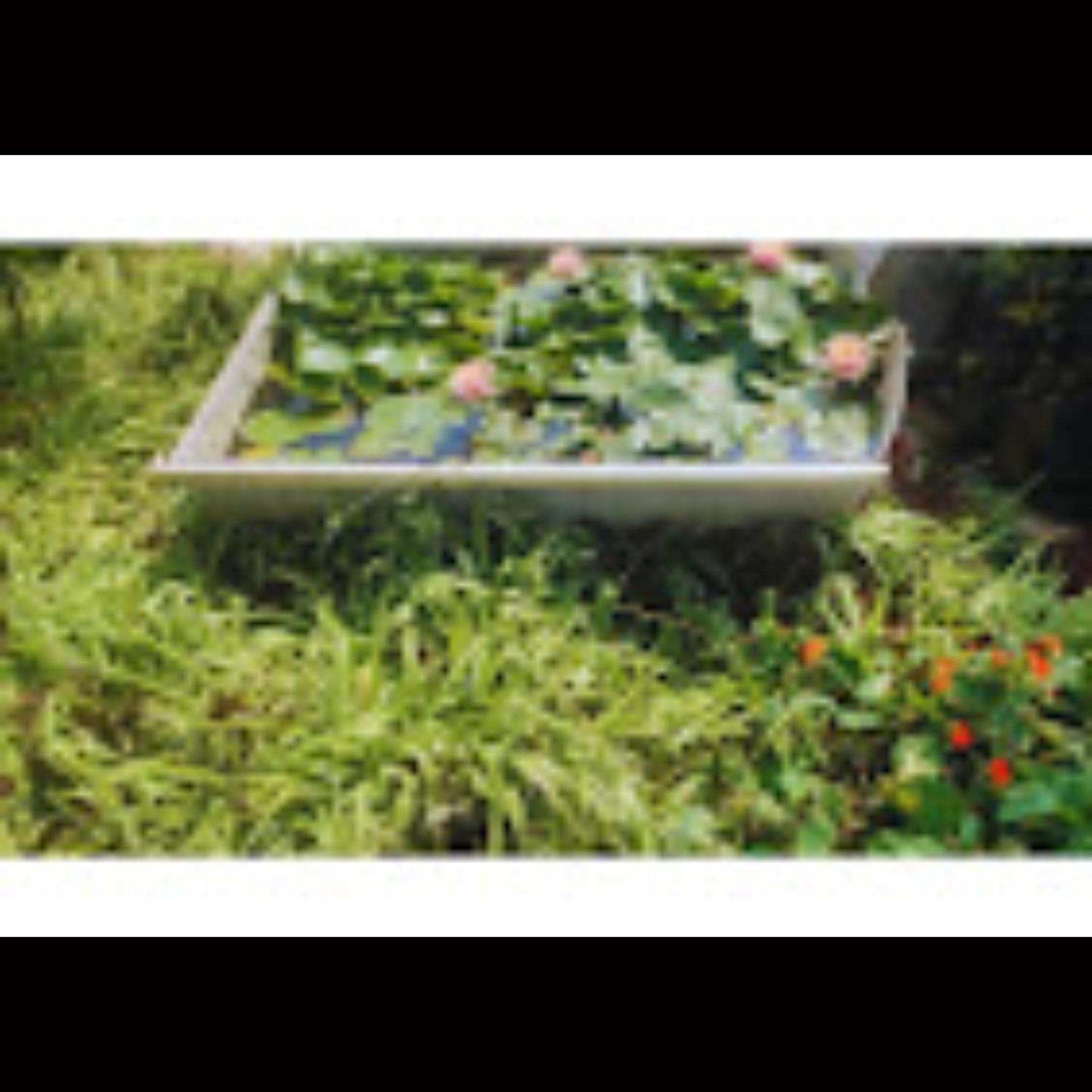 Hotel Strawberry County Panchgani Exterior foto