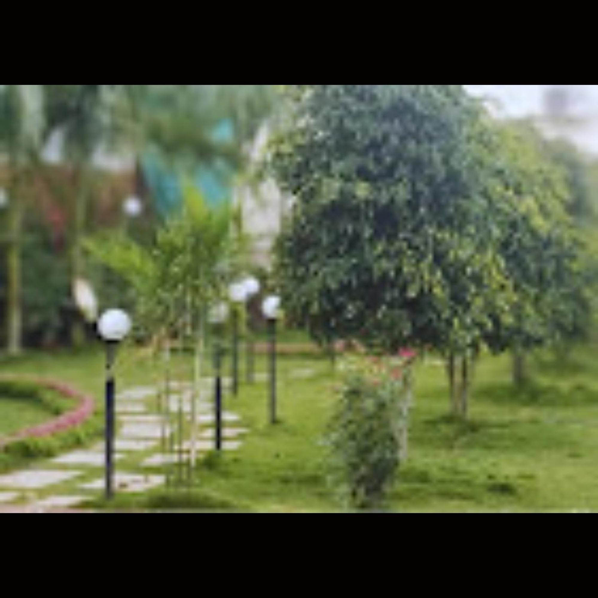 Hotel Strawberry County Panchgani Exterior foto