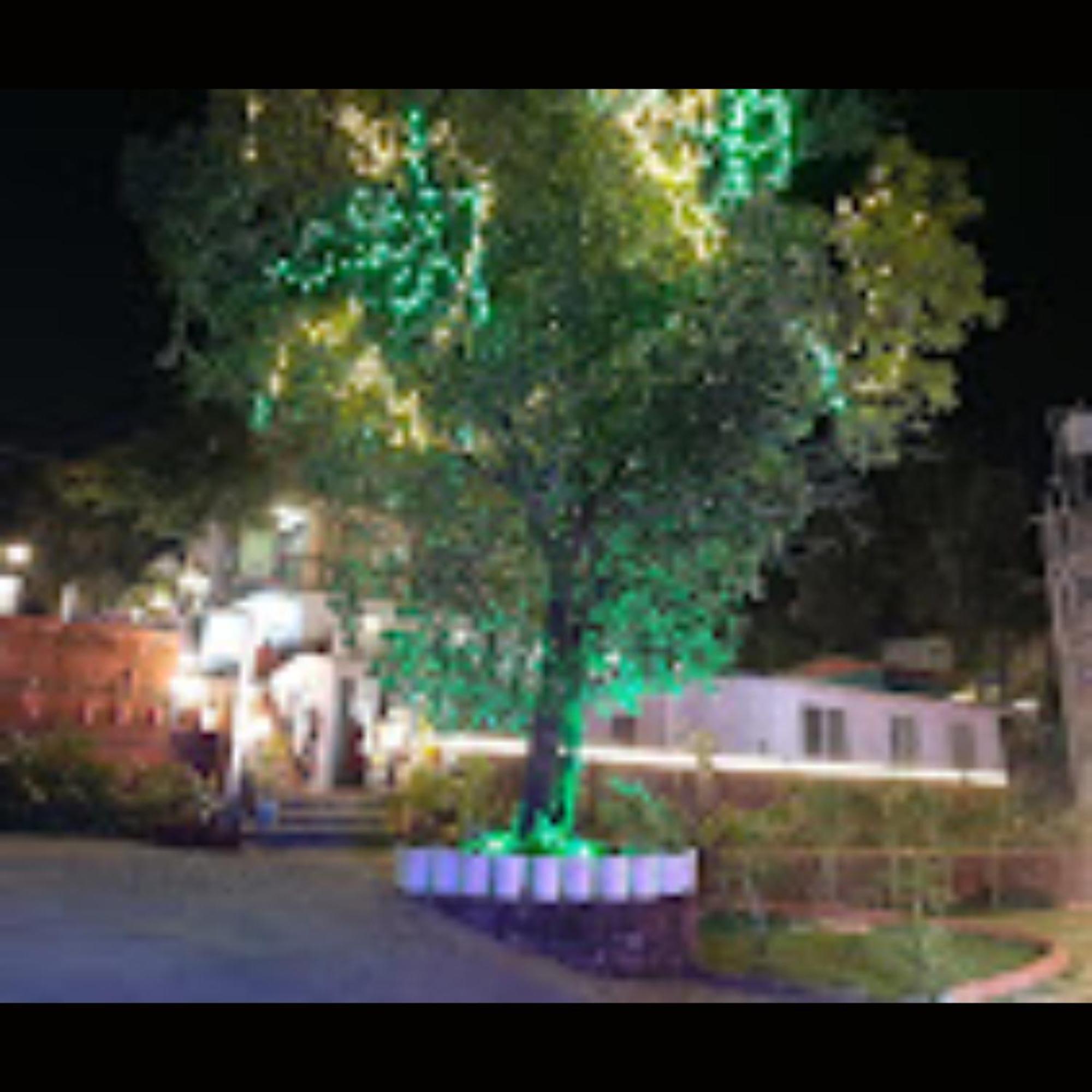 Hotel Strawberry County Panchgani Exterior foto