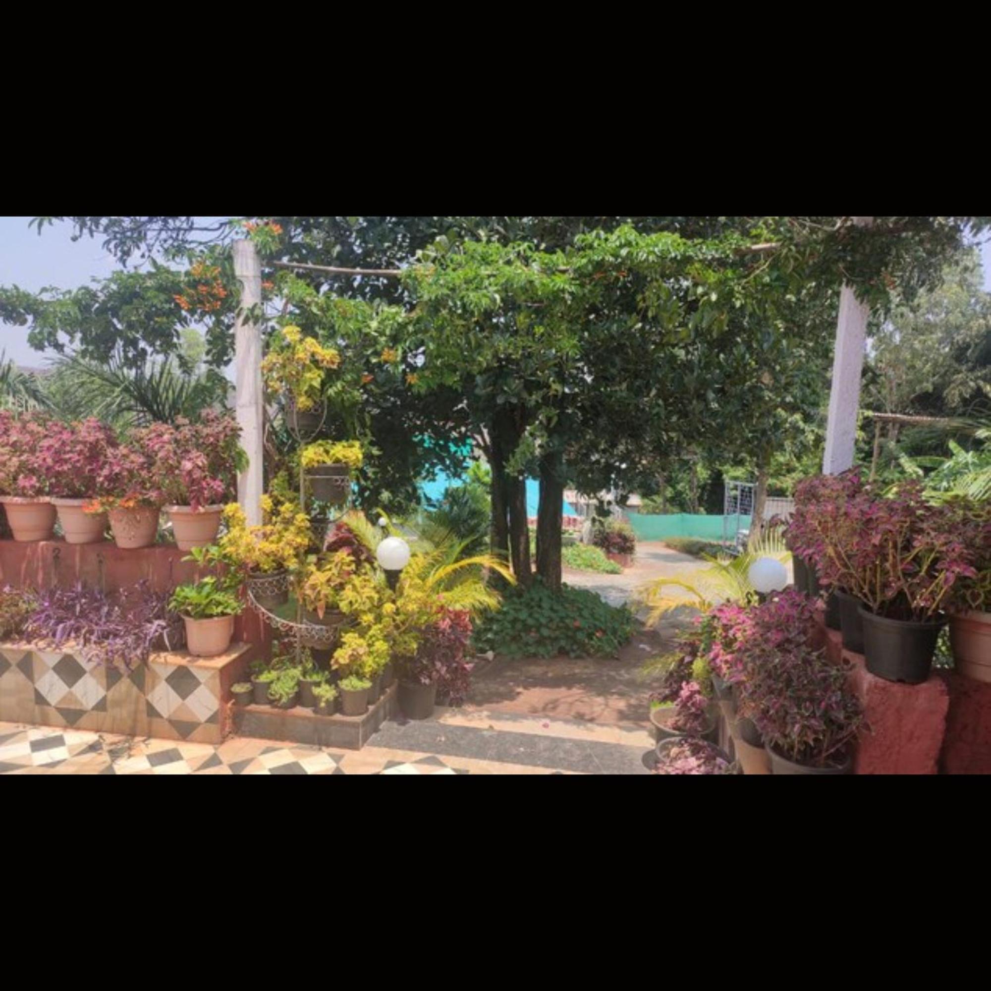 Hotel Strawberry County Panchgani Exterior foto